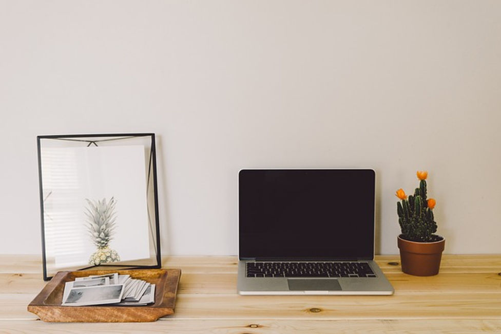 Laptop on a desk beside a cactus and a frame